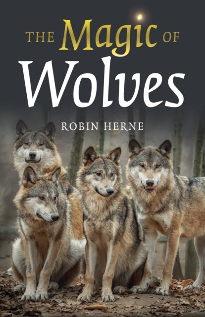 Binding: Paperback
Description: Select Guide Rating
Title: Magic Of Wolves The
Author(s): Herne Robin
Publisher: Collective Ink
Barcode: 9781803411064
Pages: 112 Pages
Publication Date: 3/1/2024
Category: Wildlife: Mammals