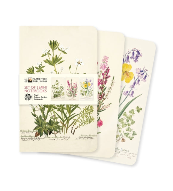 Binding: Notebooks, Journals, And Diaries
Description: New title in the beautiful collection of mini foiled and ruled and blank notebooks each pack features three designs by some of the most popular artists.