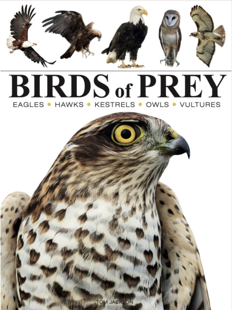 Binding: Paperback
Description: Birds of Prey or raptors are some of the most captivating bird species in the world. Think of eagles and condors vultures hawks and kites but also owls and ospreys.