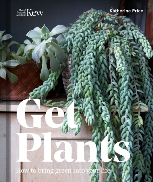 Get Plants How To Bring Green Into Your Life