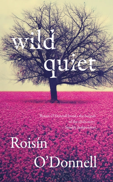 Binding: Paperback
Description: A breathtaking collection of short stories from one of Ireland's most exciting new voices.
Title: Wild Quiet
Author(s): O'donnell Roisin
Publisher: New Island Books
Barcode: 9781848405004
Pages: 192 Pages
Publication Date: 7/13/2016
Category: Short Stories