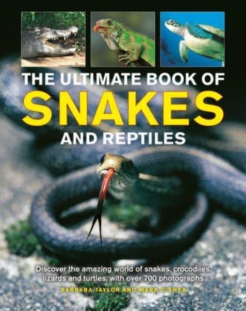 Binding: Hardcover
Description: Examines the intriguing aspects of all kinds of reptiles: learn how their bodies work and where they live and amazing facts about their habits life cycles survival skills and ancestors.