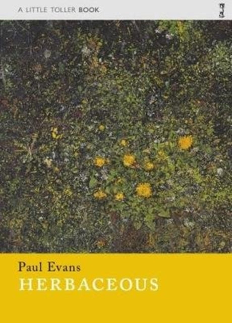 Binding: Paperback
Description: The paperback of the first Little Toller monograph. The writer Paul Evans also known for Field Notes from the Edge and for his many country diaries for The Guardian traces the seasons through the life - cycle of herbaceous plants.