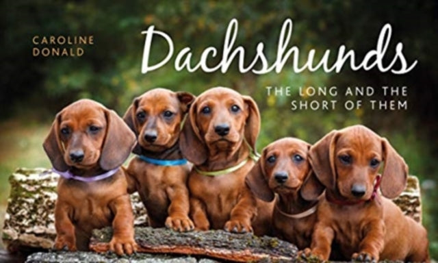 Donald Caroline - Dachshunds The Long And The Short Of Them - Hardcover