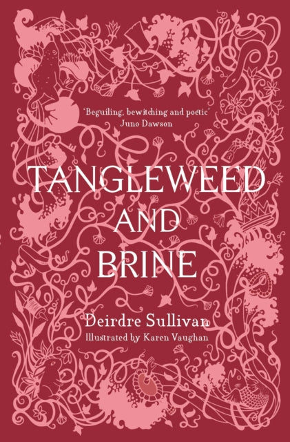 Binding: Hardcover
Description: A collection of thirteen dark feminist retellings of traditional fairytales from one of Ireland's leading writers for young people.