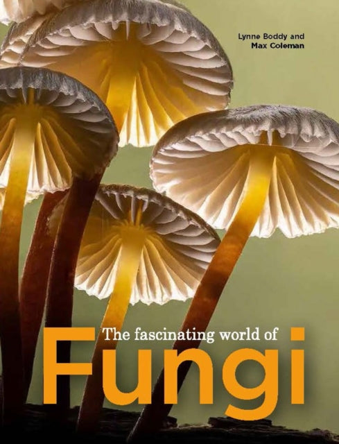 Binding: Paperback
Description: Revised and updated with the knowledge of ten years of research and conservation. A wealthy of information from a broad range of experts that any one can easily enjoy and learn from. New images showing the bizarre and wondrous variety of fungi across the world.