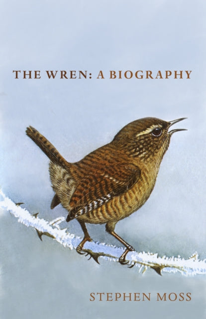 Binding: Hardcover
Description: From the bestselling author of The Robin: A Biography Stephan Moss: The wren is a paradox of a bird. They are Britain's most common bird with 8.5 million breeding pairs and have by far the loudest song in proportion to their size.
