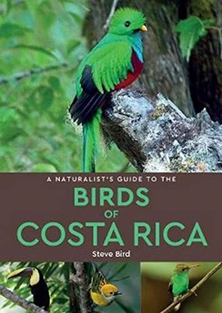 Binding: Paperback
Description: This easy - to - use identification guide to the 280 bird species most commonly seen in Costa Rica is perfect for resident and visitor alike.