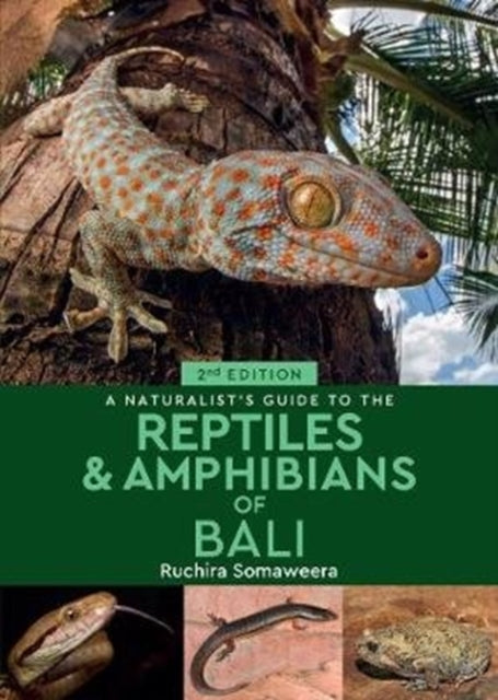 Binding: Paperback
Description: A complete photographic identification guide to all 113 reptile and amphibian species of Bali perfect for resident and visitor alike.