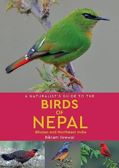 Binding: Paperback
Description: A Naturalist's Guide to the Birds of Nepal is an introductory photographic identification guide to 280 bird species commonly seen in Nepal.