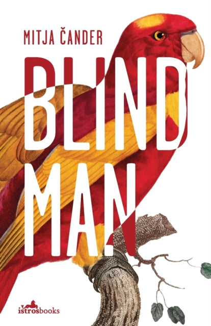 Binding: Paperback
Description: The main character and narrator of Blind Man is a successful book editor and critic with severely impaired vison although he has never had much to do with the visually impaired community and doesn t really feel like he is one of them.