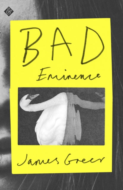 Binding: Hardcover
Description: Screenwriter (Unsane) and bass player (Guided by Voices) James Greer returns to the literary fold with a hilarious novel about the perils and pleasures of promiscuous translation.