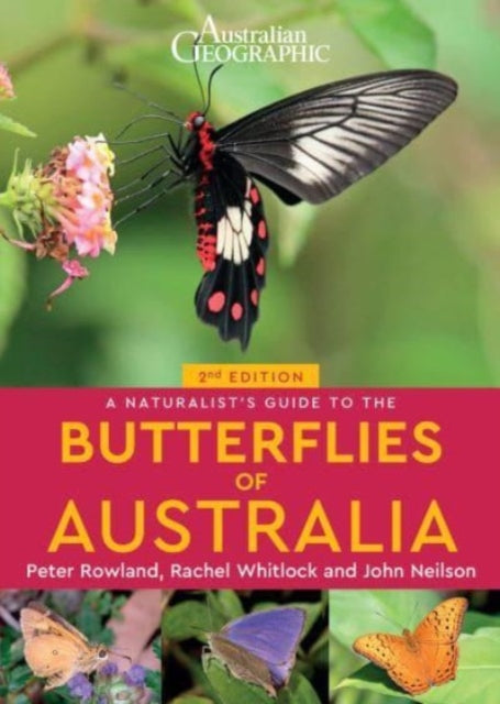 Binding: Paperback
Description: A Naturalist's Guide to the Butterflies of Australia is an introductory photographic guide to 280 butterfly species commonly seen in Australia. The 2nd edition includes extensive updates to the text featuring revised taxonomy and multiple new images of the species covered.