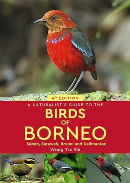 Tsu Shi Wong - A Naturalist's Guide To The Birds Of Borneo Sabah Sarawak Brunei And Kalimantan - Paperback