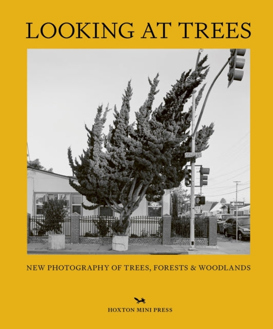 Binding: Hardcover
Description: This book celebrates the enduring beauty and wonder of trees with an anthology of photographs that reveal these diverse and ancient plants in a new light - from tropical mangroves to suburban topiary and tangled hedgerows.