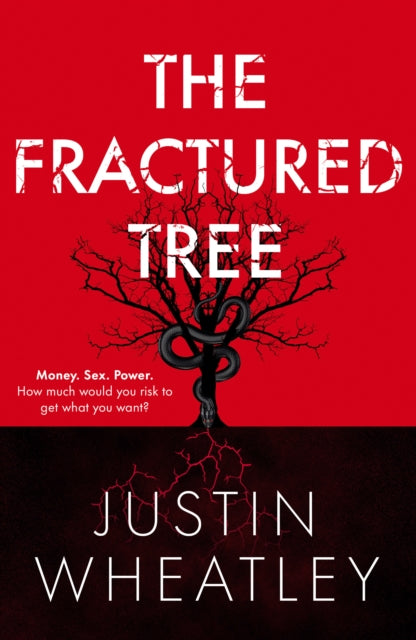 Binding: Hardcover
Description: A riveting financial thriller about temptation choices and the ruthless pursuit of profit and power in the City of London and the oil and gas fields of America. In 2014, environmentalists want to ban fracking which has powered America to become the top oil producer in the world.