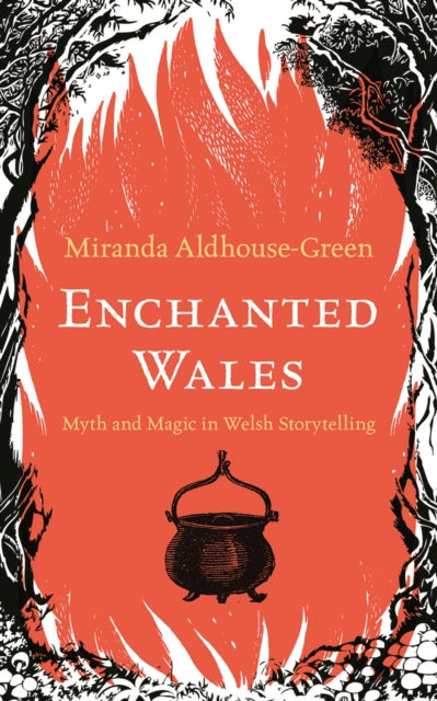 Binding: Hardcover
Description: The magical world of Welsh mythology deserves to be better known outside its homeland with its cast of heroes and tricksters animals that can talk and change shape and magicians and witches who can bring disaster or triumph to the people in their paths.