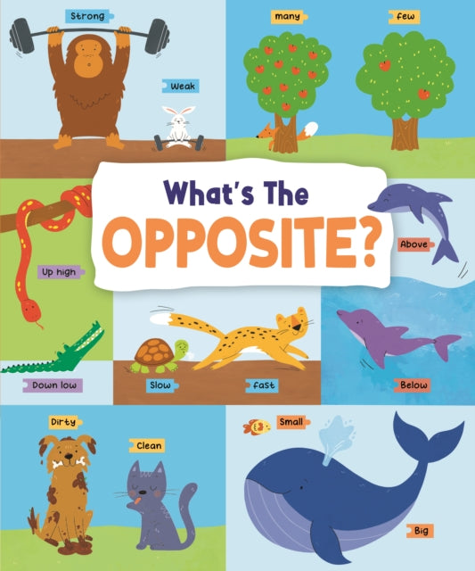 Binding: Hardcover
Description: Kids will want to read this book again and again it's just plain fun all the way! Designed to teach young kids the concept of opposites in a fun and engaging way.