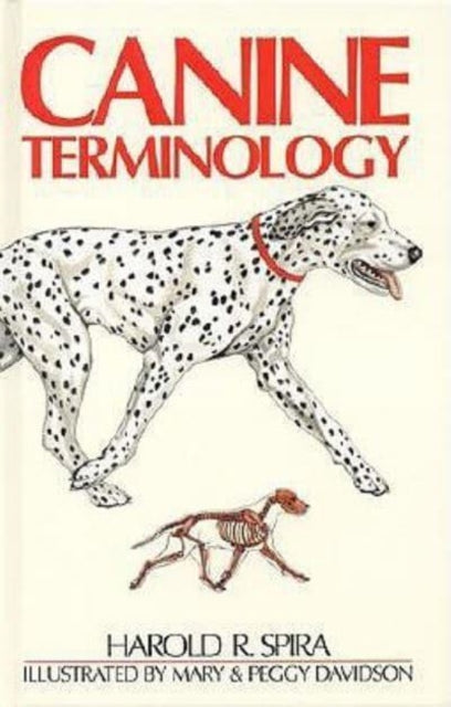 Binding: Paperback
Description: .
Title: Canine Terminology
Author(s): Spira H R
Publisher: First Stone
Barcode: 9781929242016
Pages: 147 Pages
Publication Date: 1/1/2001
Category: Veterinary Medicine