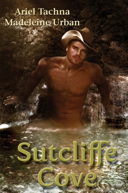 Binding: Paperback
Description: Seeking first - time riding lessons in the rolling hills of Connecticut Gerald Saunders is pleased to discover Sutcliffe Cove.