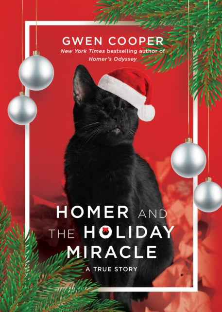 Homer And The Holiday Miracle A True Story