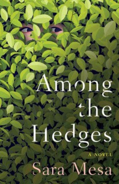 Binding: Paperback
Description: Soon has been skipping school and spending her days hidden among the hedges in a local park. day she strikes up a friendship with a fifty - year - old man. He tells her about birds and Nina Simone buys her soda and chips and spends almost every day talking with her.