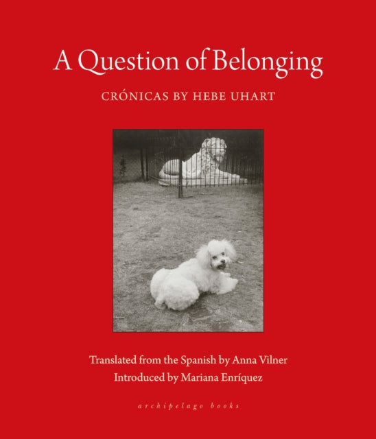 Vilner Anna - A Question Of Belonging Cronicas - Paperback