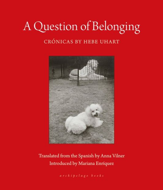 Vilner Anna - A Question Of Belonging Cronicas - Paperback
