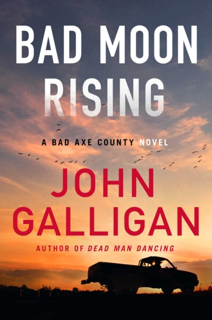 Binding: Paperback
Description: As unique a place in the mystery universe as you will ever find. smooth unexpected and memorable. This book is a diamond in the rough.