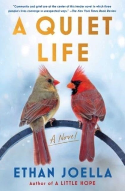 Binding: Paperback
Description: From the author of A Little Hope a Read with Jenna Bonus Pick comes another heartwarming character - driven (Booklist) life - affirming novel about three individuals whose lives intersect in unforeseen ways.