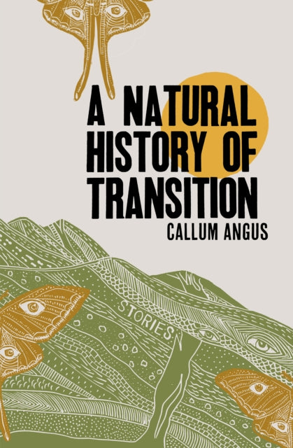Binding: Paperback
Title: A Natural History Of Transition Stories
Author(s): Angus Callum
Publisher: Metonymy Press
Barcode: 9781999058876
Pages: 200 Pages
Publication Date: 4/20/2021
Category: Short Stories
