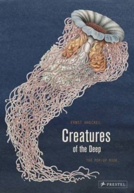 Creatures Of The Deep The Pop - Up Book