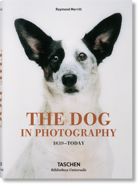 Binding: Hardcover
Description: In celebration of the world's favorite animal we bring you over 400 photographs of or about dogs.