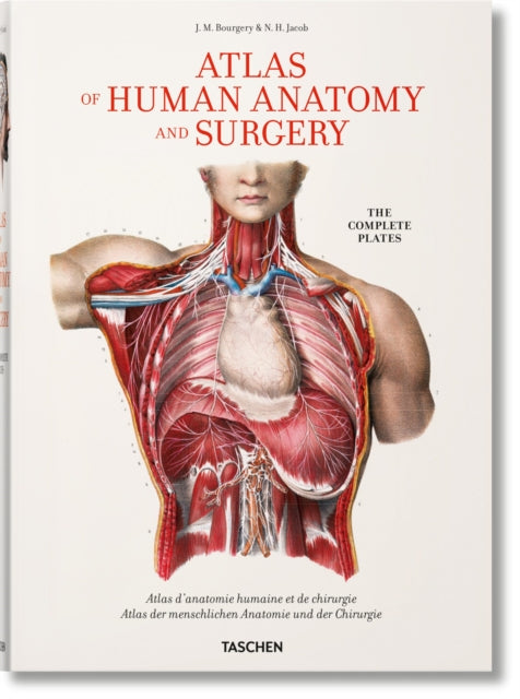 Binding: Hardcover
Description: We owe a great debt to Jean Baptiste Marc Bourgery (1797 1849) for his Atlas of Anatomy which was not only a massive event in medical history but also remains one of the most comprehensive and beautifully illustrated anatomical treatises ever published.