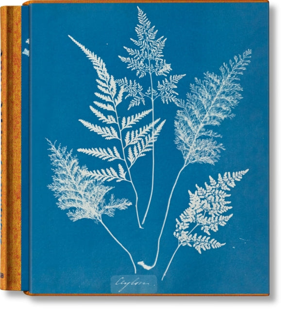 Binding: Hardcover
Description: At the dawn of the Victorian era in her open - air laboratory in Halstead Kent Anna Atkins embarked on a radical experiment to document botanical species using a completely new artistic medium.