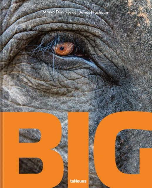 Binding: Hardcover
Description: If you re a lover of wildlife imagery this is worth adding to your wishlist Amateur Photographer". an amazing new photobook on the giants of the animal kingdom." Examiner US a" This is the type of book that makes a handsome gift for any wildlife lover.