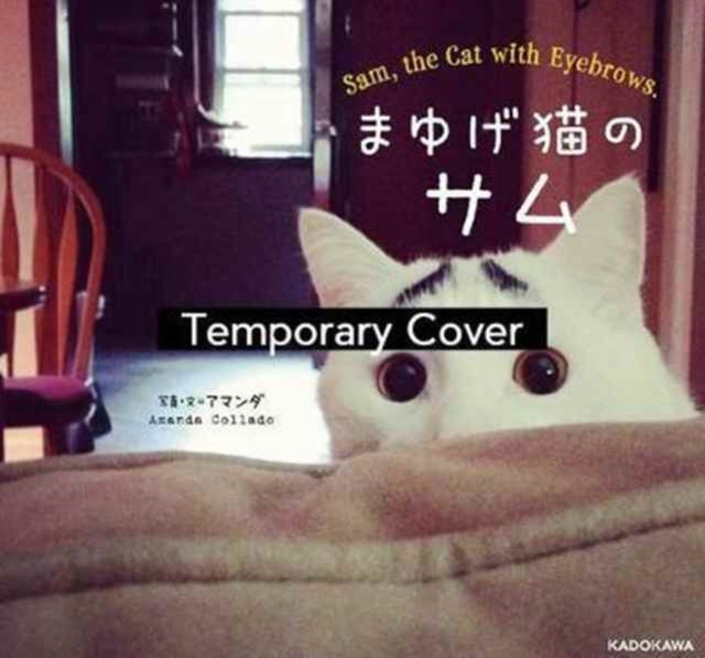 Binding: Paperback
Description: Select Guide Rating
Title: Sam The Cat With Eyebrows
Author(s): Collado Amanda
Publisher: Nippan Ips
Barcode: 9784865050769
Pages: 80 Pages
Publication Date: 8/15/2017
Category: Humour
