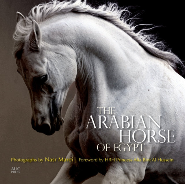 Binding: Paperback
Description: Prized for their stamina and their acclimation to the harsh conditions of the Arabian deserts the ancestors of the horses that are now recognized as the Egyptian Arabian purebred horse entered Egypt centuries ago establishing the valuable bloodlines of the breed there.