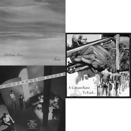 This is a 3 LP Vinyl SKU bundle.
1.This LP Vinyl is brand new.Format: LP VinylThis item's title is: To Each... (Limited Edition White LP Vinyl)Artist: A Certain RatioLabel: MUTEBarcode: 724596970560Release Date: 1/15/2021
2.This LP Vinyl is brand new.