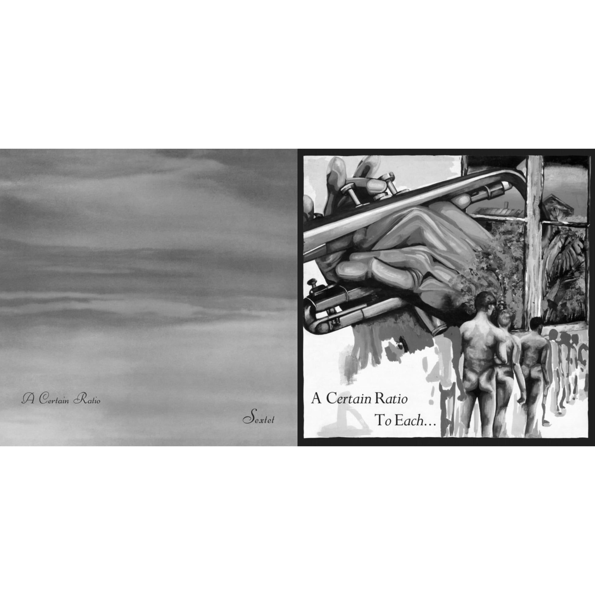 This is a 2 LP Vinyl SKU bundle.
1.This LP Vinyl is brand new.Format: LP VinylThis item's title is: Sextet (Limited Edition White LP Vinyl)Artist: A Certain RatioLabel: MUTEBarcode: 724596972564Release Date: 1/15/2021
2.This LP Vinyl is brand new.