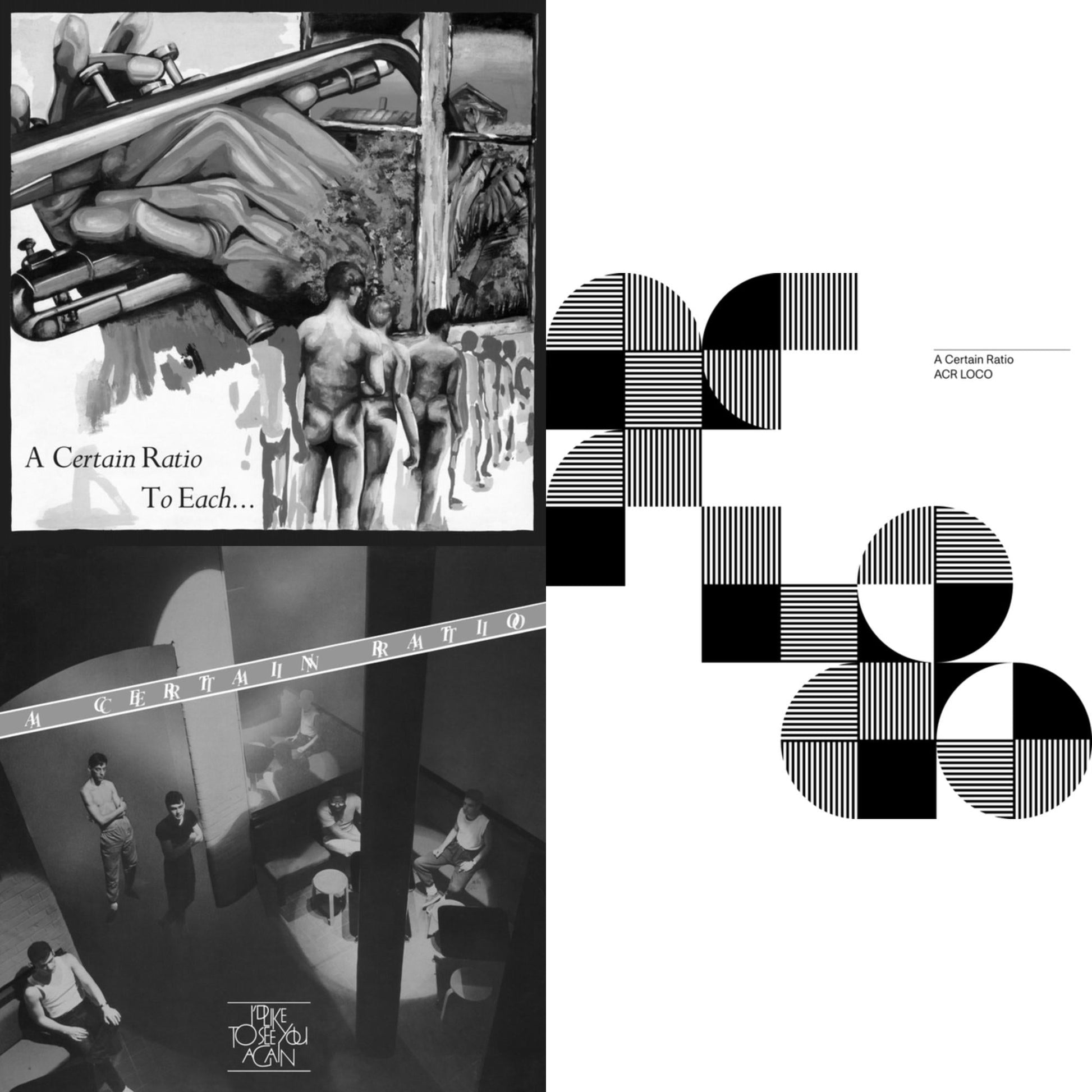 This is a 3 LP Vinyl SKU bundle.
1.This LP Vinyl is brand new.Format: LP VinylThis item's title is: To Each... (Limited Edition White LP Vinyl)Artist: A Certain RatioLabel: MUTEBarcode: 724596970560Release Date: 1/15/2021
2.This LP Vinyl is brand new.