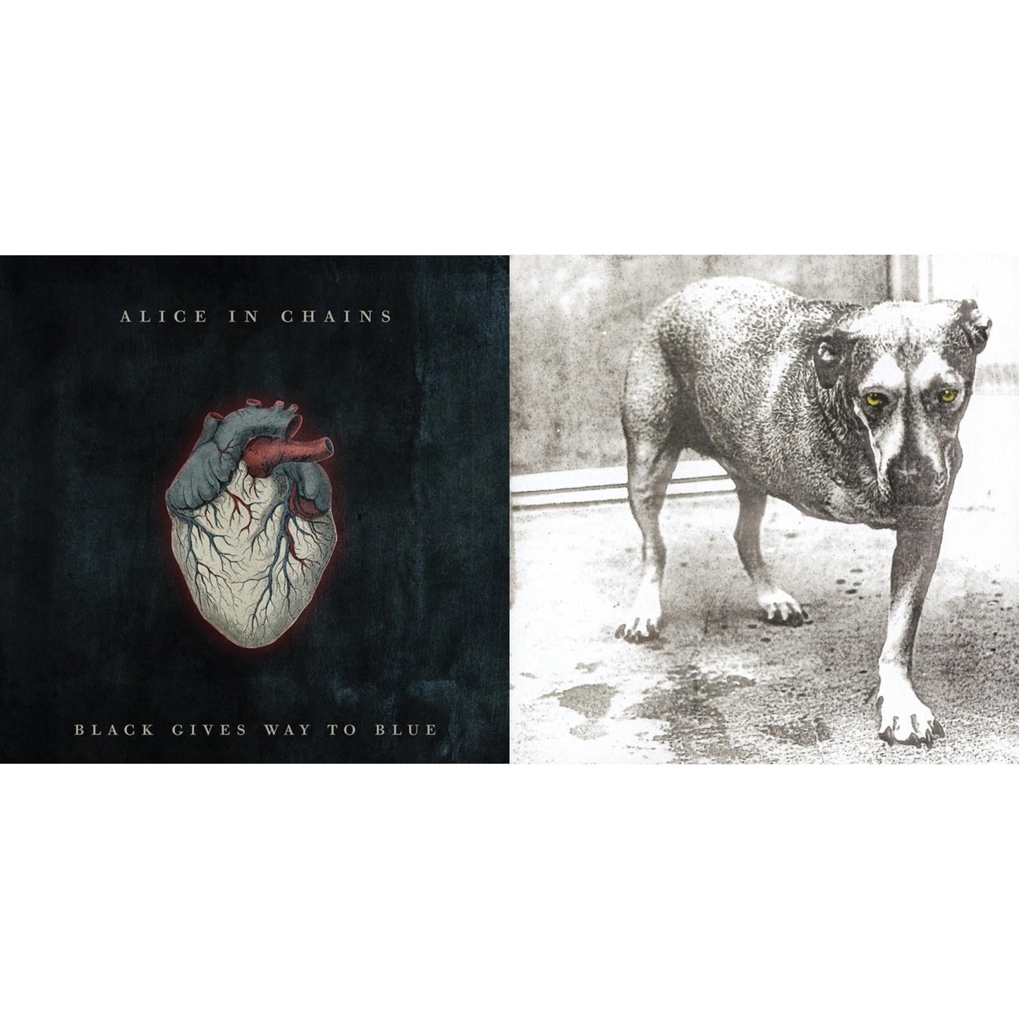 Black Gives Way To Blue & Alice In Chains