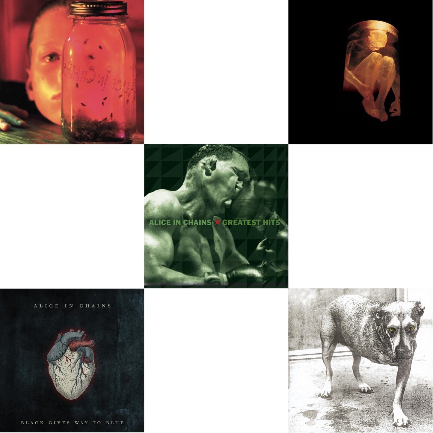 Jar Of Flies & Black Gives Way To Blue & Greatest Hits & Nothing Safe: Best Of The Box & Alice In Chains