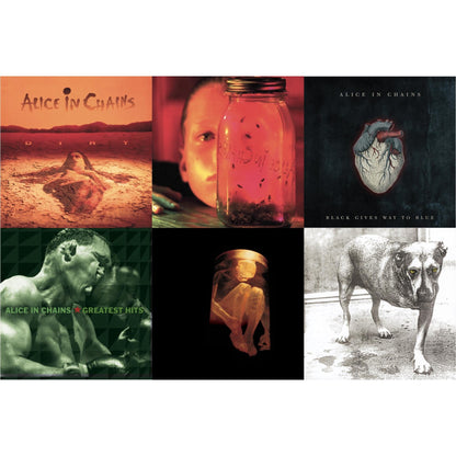 Dirt & Jar Of Flies & Black Gives Way To Blue & Greatest Hits & Nothing Safe: Best Of The Box & Alice In Chains