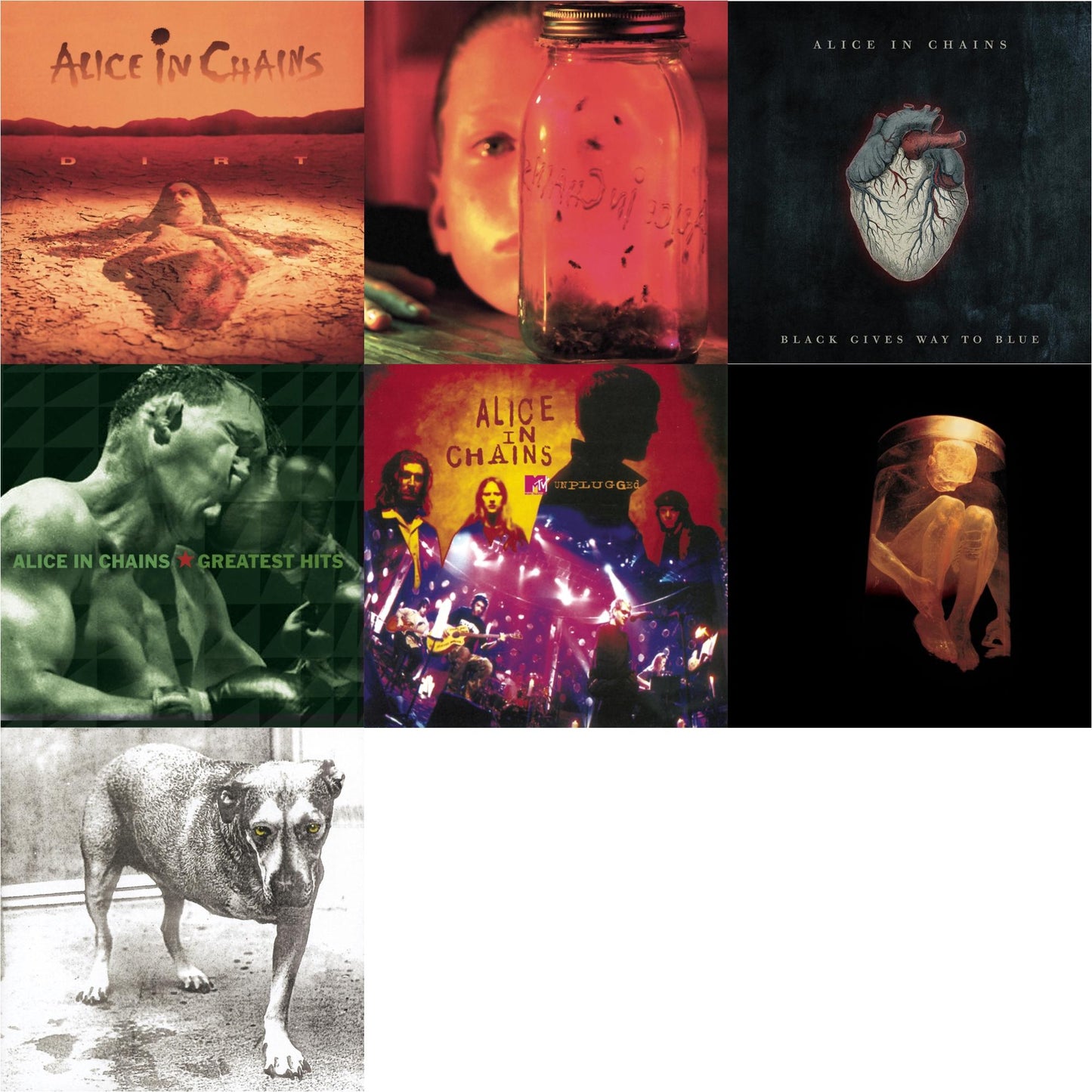 Dirt & Jar Of Flies & Black Gives Way To Blue & Greatest Hits & Unplugged & Nothing Safe: Best Of The Box & Alice In Chains