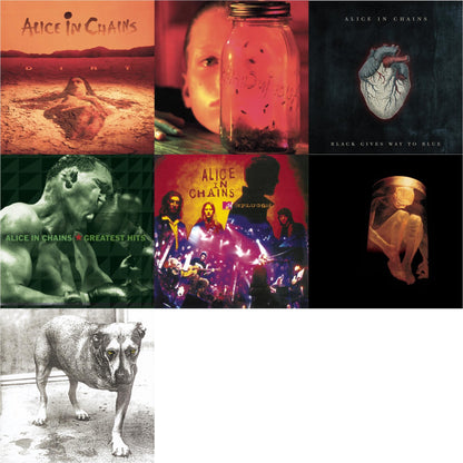 Dirt & Jar Of Flies & Black Gives Way To Blue & Greatest Hits & Unplugged & Nothing Safe: Best Of The Box & Alice In Chains