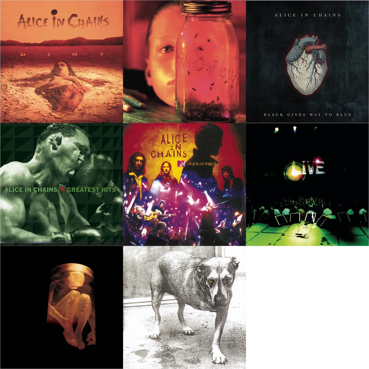 Dirt & Jar Of Flies & Black Gives Way To Blue & Greatest Hits & Unplugged & Live & Nothing Safe: Best Of The Box & Alice In Chains
