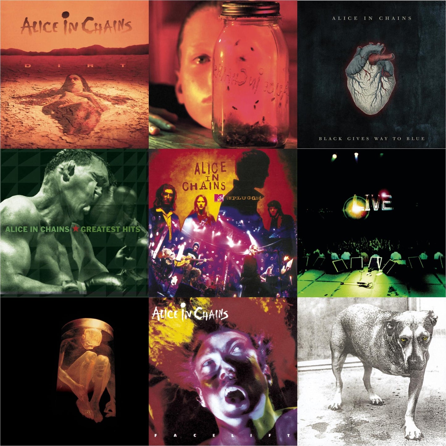 Dirt & Jar Of Flies & Black Gives Way To Blue & Greatest Hits & Unplugged & Live & Nothing Safe: Best Of The Box & Facelift & Alice In Chains