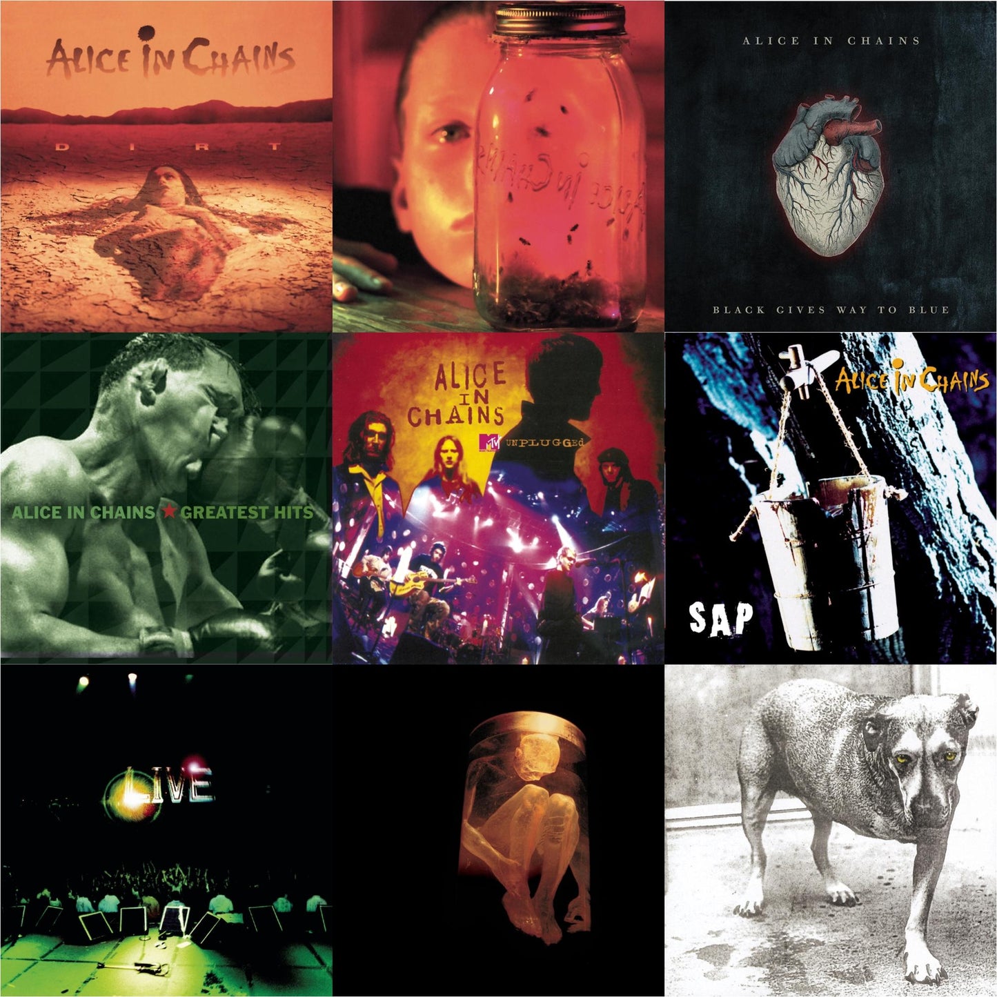 Dirt & Jar Of Flies & Black Gives Way To Blue & Greatest Hits & Unplugged & Sap & Live & Nothing Safe: Best Of The Box & Alice In Chains