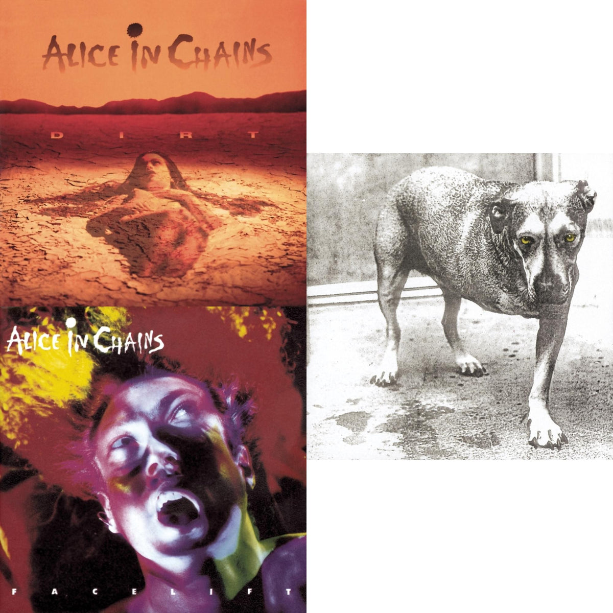 Dirt & Facelift & Alice In Chains